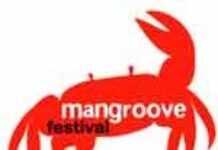 Mangroove festival célèbre l’afro-européanité