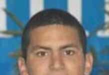 Oussama Mellouli, comme un champion dans l’eau