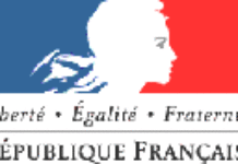 Français d’Afrique, ces nationaux comme les autres Français d’Afrique, ces nationaux comme les autres