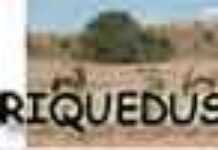 Préparez en ligne votre voyage en Afrique australe Préparez en ligne votre voyage en Afrique australe