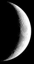 arton8974