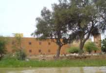 Le Bou El Mogdad est de retour sur les eaux du fleuve Sénégal Aux abords de Richard Toll