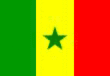 Can 2006 : Sénégal 2 Zimbabwe 0 Can 2006 : Sénégal 2 Zimbabwe 0