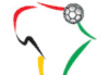 Le Cameroun et la RDC en quarts de finale