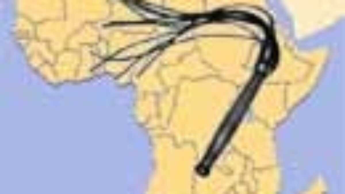 Le fouet serait interdit à l'école au Cameroun