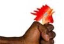 Grippe aviaire : le Bénin renforce la sécurité à sa frontière