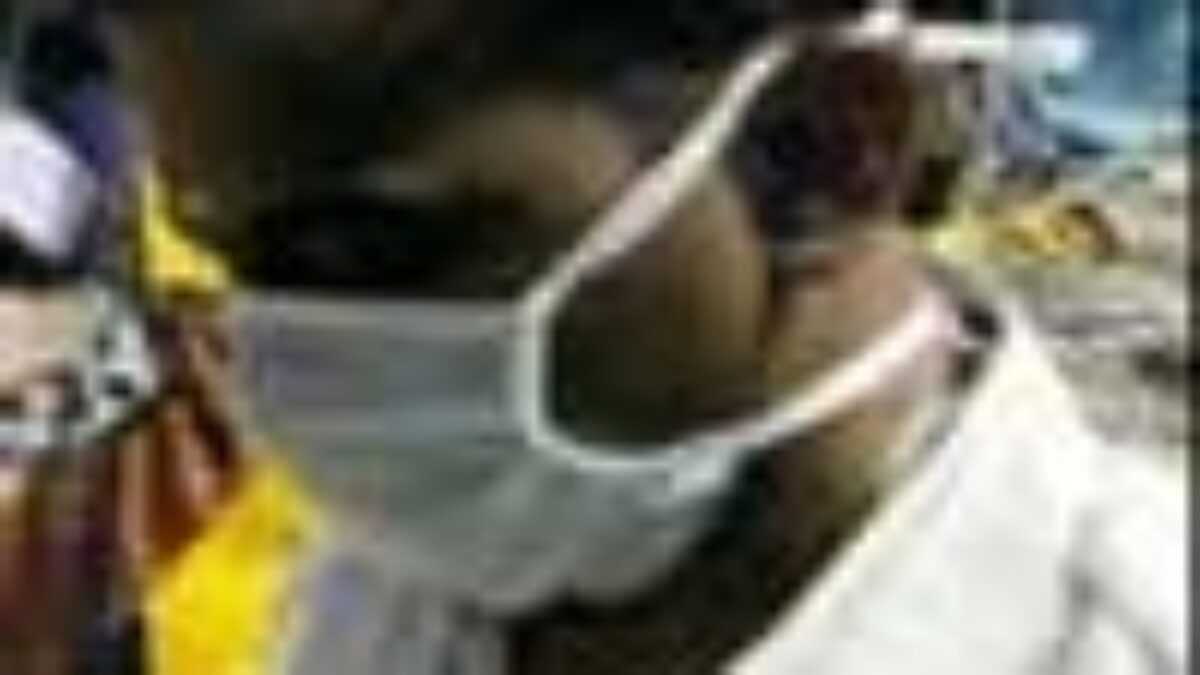 Grippe aviaire symptômes et traitement chez l