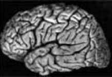 Le recteur de l’université de Kinshasa dénonce la fuite des cerveaux vers l’Europe Le recteur de l’université de Kinshasa dénonce la fuite des cerveaux vers l’Europe