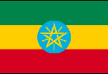 Un mort et 15 blessés dans l’explosion de cinq bombes à Addis Abeba