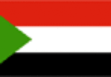 La Ligue arabe soutient la mission de paix de l’UA