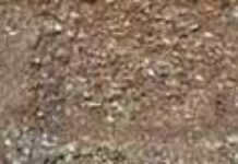 Afrique sub-saharienne : les sols s’épuisent Afrique sub-saharienne : les sols s’épuisent