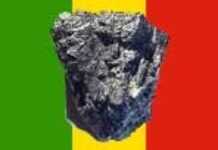 Niger : le charbon minéral pour lutter contre la désertification Niger : le charbon minéral pour lutter contre la désertification