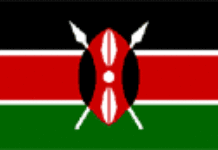 Kenya : naissance des premiers bébés éprouvette