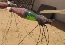 Henri Sagna et les moustiques Henri Sagna Moustique