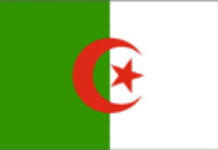 Torture en Algérie : le rapport d’Amnesty Torture en Algérie : le rapport d’Amnesty