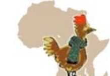 La grippe aviaire progresse en Afrique