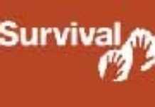 Des chasseurs bushmen arrêtés et inculpés Des chasseurs bushmen arrêtés et inculpés