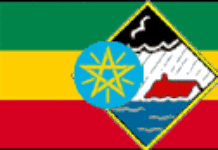 Découverte en Ethiopie d’un squelette vieux de 3 millions d’années Découverte en Ethiopie d’un squelette vieux de 3 millions d’années