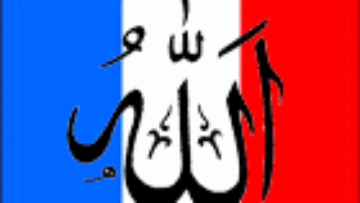 Musulmans de France le sondage vérités