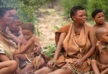 Bushmen du Botwsana