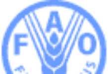 Sommet de la FAO : la faim progresse en Afrique