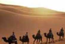 Libye: deuxième conférence sur le commerce des caravanes au Sahara Libye: deuxième conférence sur le commerce des caravanes au Sahara