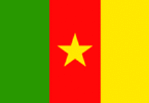 Cameroun : Arrestation d’une cinquantaine d’indépendantistes
