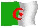 arton11113
