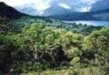 Riddac.org couronné par le prix RFI net Riddac.org couronné par le prix RFI net