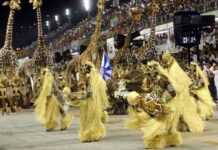 Le Carnaval de Rio célèbre l’Afrique beija-flor-vrai.jpg