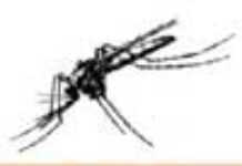 Et si l’anophèle ne transmettait plus le paludisme ?