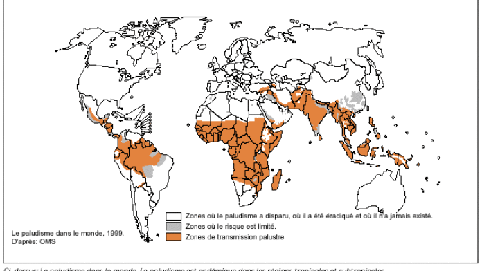Le paludisme dans le monde