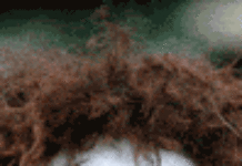 Monfils : itinéraire d’un enfant doué Monfils : itinéraire d’un enfant doué