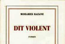 Ditviolent-2.jpg