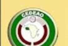 Une Afrique de l’ouest sans frontière verra le jour en 2020 Une Afrique de l’ouest sans frontière verra le jour en 2020