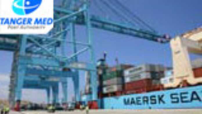 arton12205 arton12205
