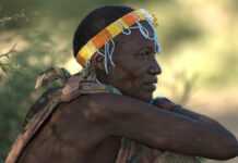 En Tanzanie, le tourisme de luxe menace les Hadzabe Un Hadzabe