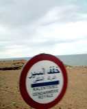 arton12221
