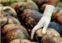 Un général rwandais au Darfour accusé de crimes de génocide