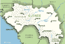 Guinée : six policiers français « molestés » pour avoir reconduit des sans-papiers Guinée : six policiers français « molestés » pour avoir reconduit des sans-papiers