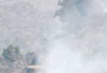 Des incendies ravagent le nord de l’Algérie