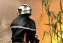 Incendies en Algérie : un véritable désastre en 48 heures Incendies en Algérie : un véritable désastre en 48 heures