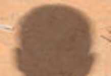 Monsieur et Madame O : vivre en France avec la « double peine » Monsieur et Madame O : vivre en France avec la « double peine »