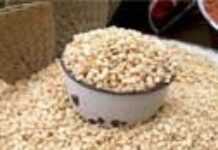 L’Afrique, une terre nourricière affamée L’Afrique, une terre nourricière affamée