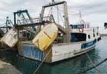 Algérie :  immense arnaque dans le secteur de la pêche Algérie :  immense arnaque dans le secteur de la pêche