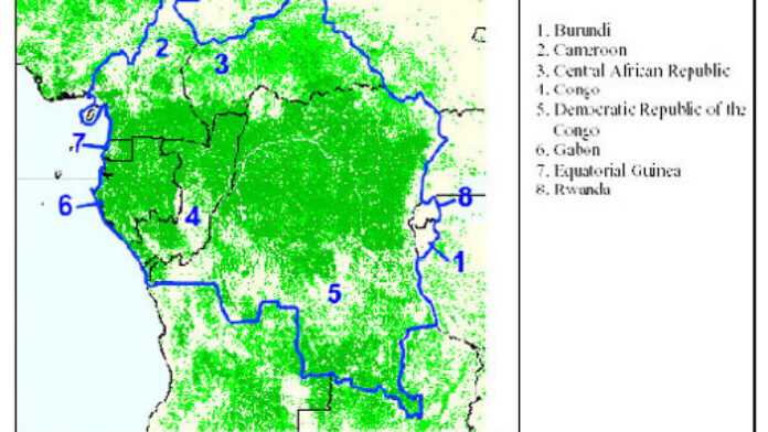 Les forêts du bassin du Congo (source : FAO, 2000)