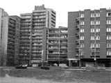 arton13095