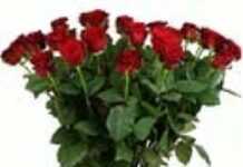 Saint-Valentin : célibataire oui, mais heureuse ! Saint-Valentin : célibataire oui, mais heureuse !