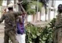 Emeutes au Cameroun : les droits des suspects sont violés Emeutes au Cameroun : les droits des suspects sont violés