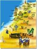 arton13877